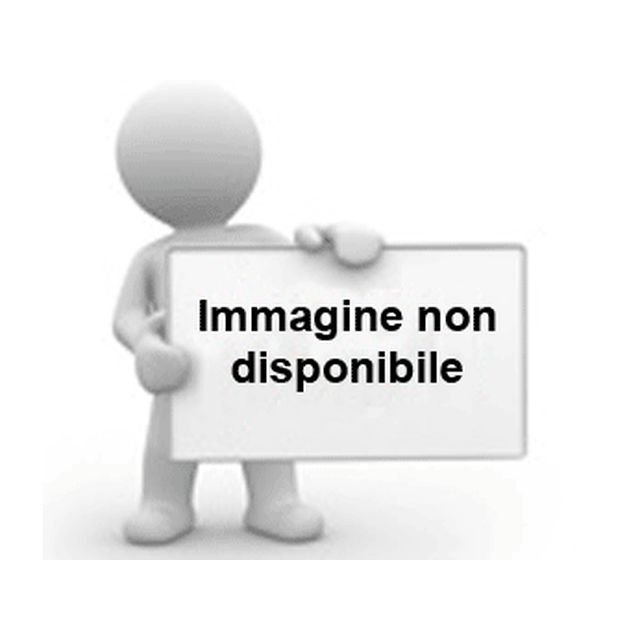 Immagine segnaposto